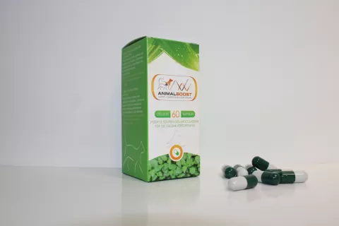 Gélules pour les articulations
