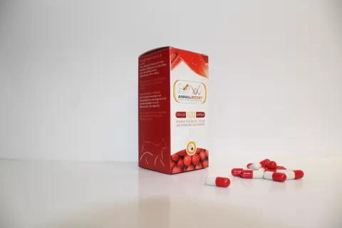 Gélules pour le soutien du coeur